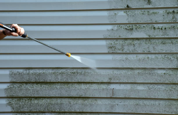 Best Roof Power Washing Services  in Jackson, MN