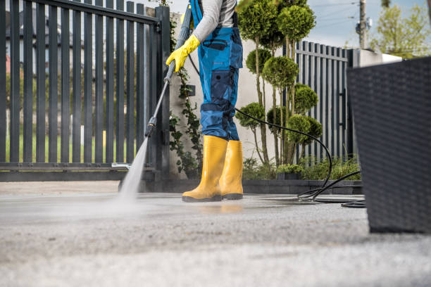 Best Roof Pressure Washing  in Jackson, MN