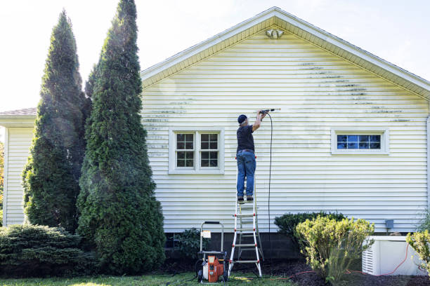 Best Roof Power Washing Services  in Jackson, MN
